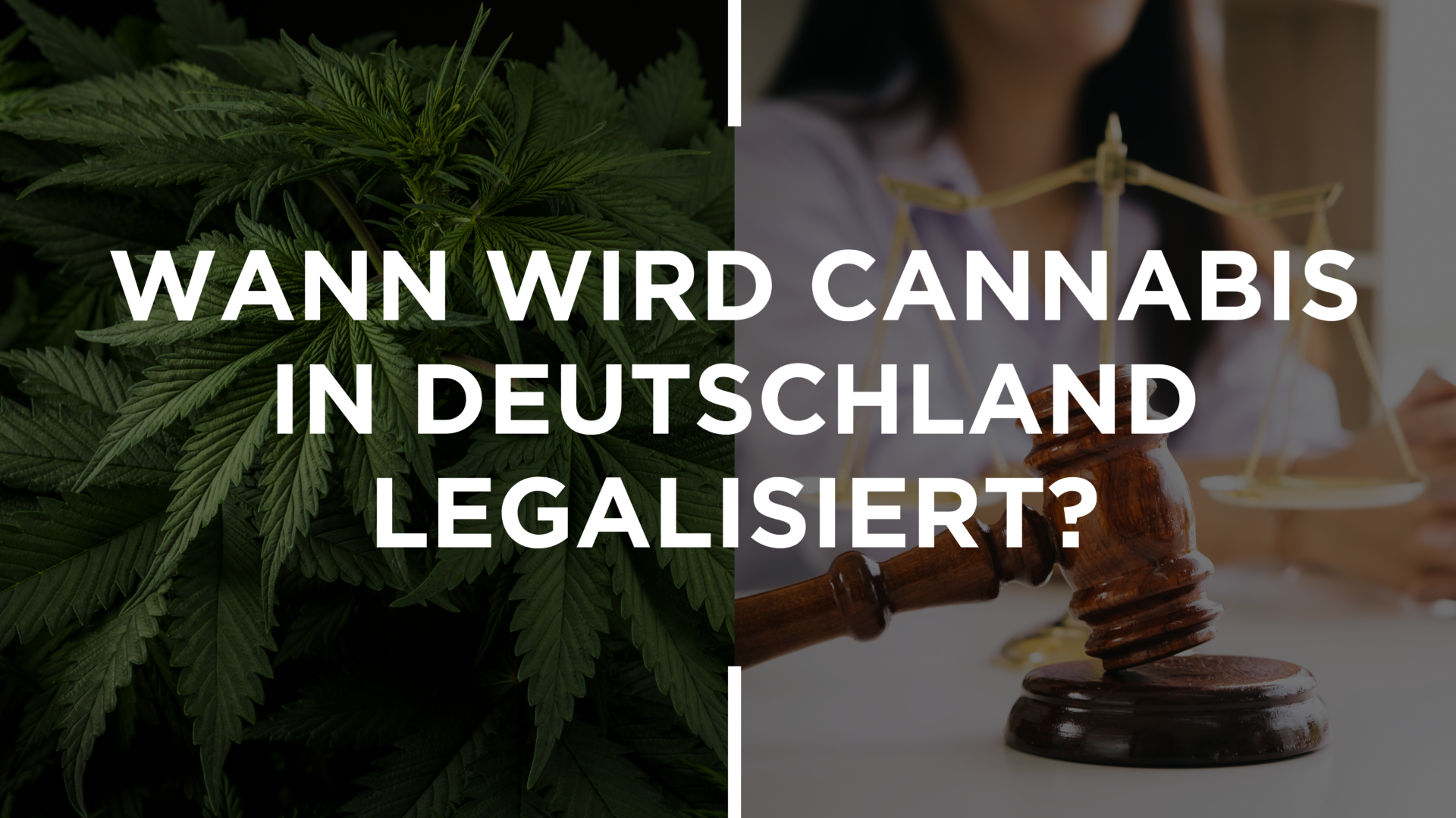 Wann Wird Cannabis In Deutschland Legalisiert?