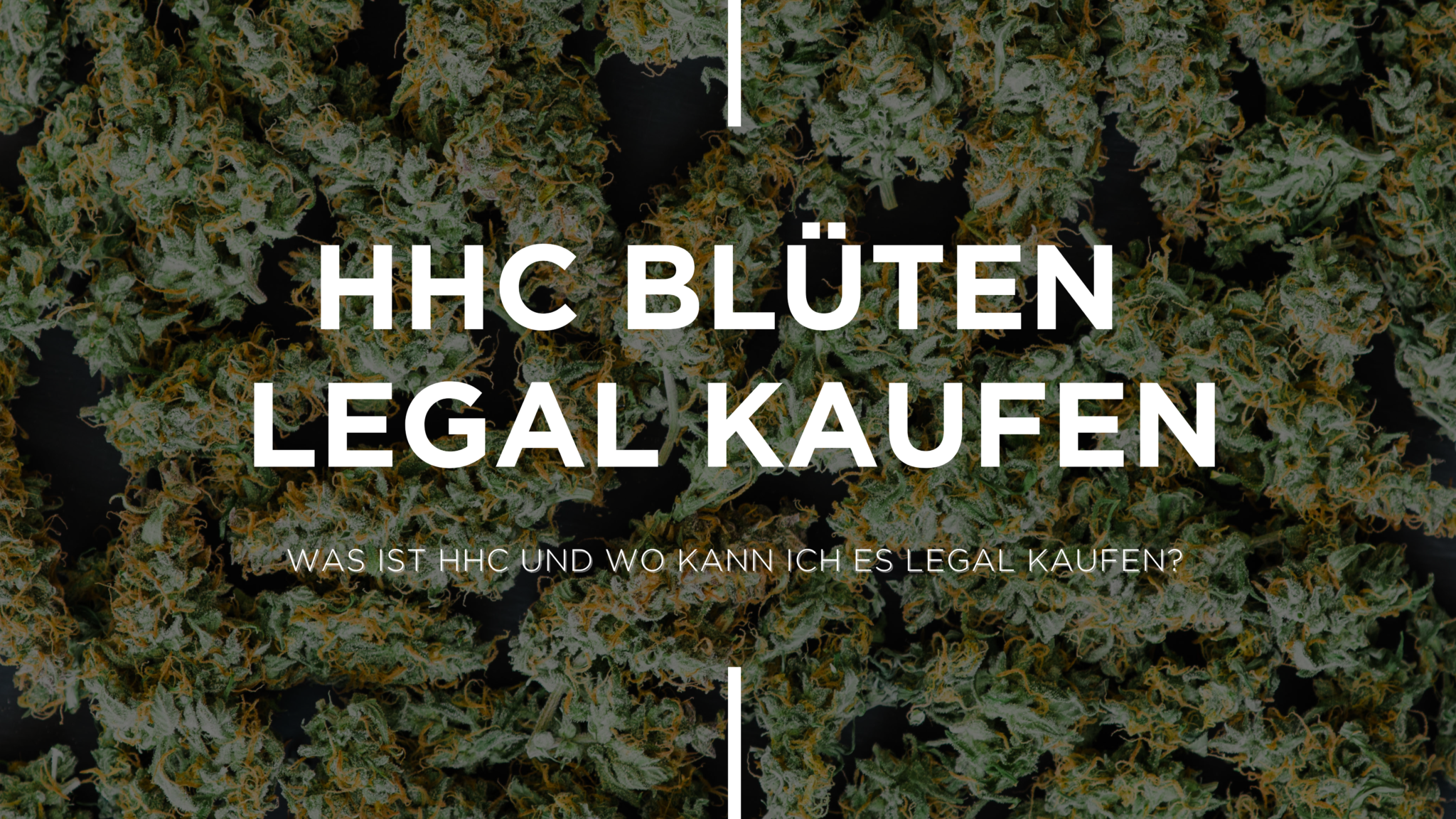 HHC Blüten Legal Kaufen