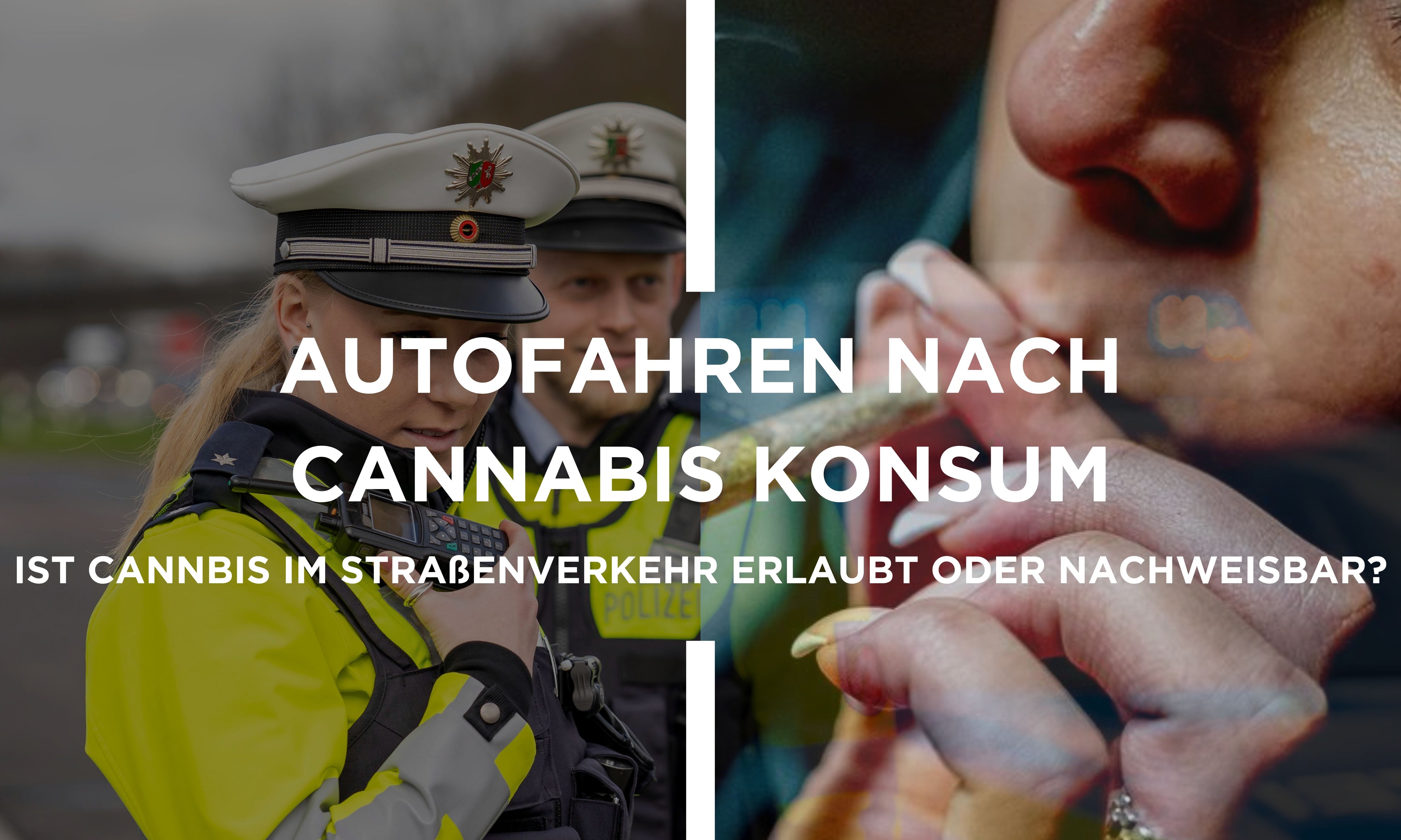 Autofahren Nach HHC Konsum: Ist HHC Im Straßenverkehr Erlaubt Oder Nachweisbar?