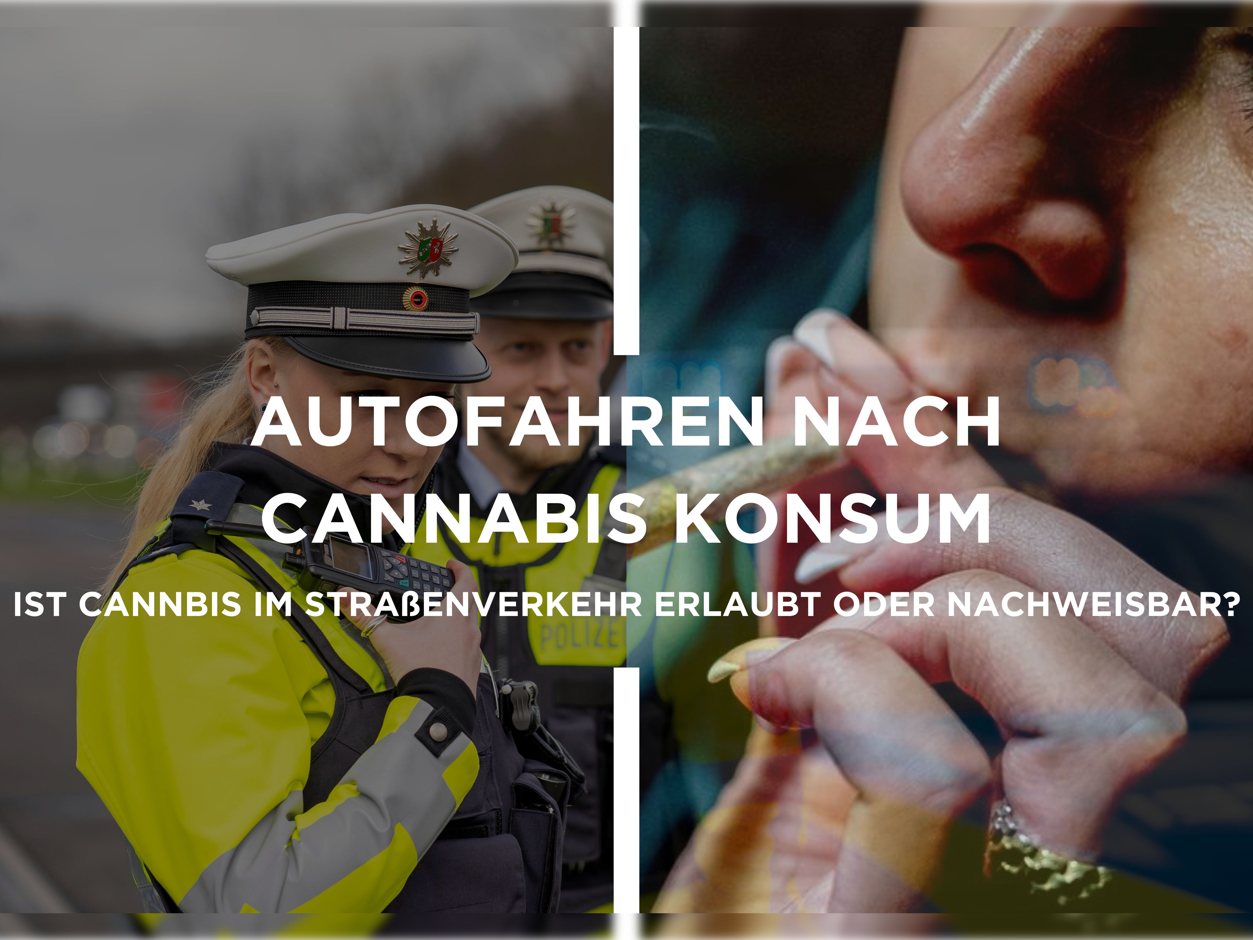 Autofahren Nach HHC Konsum: Ist HHC Im Straßenverkehr Erlaubt Oder Nachweisbar?