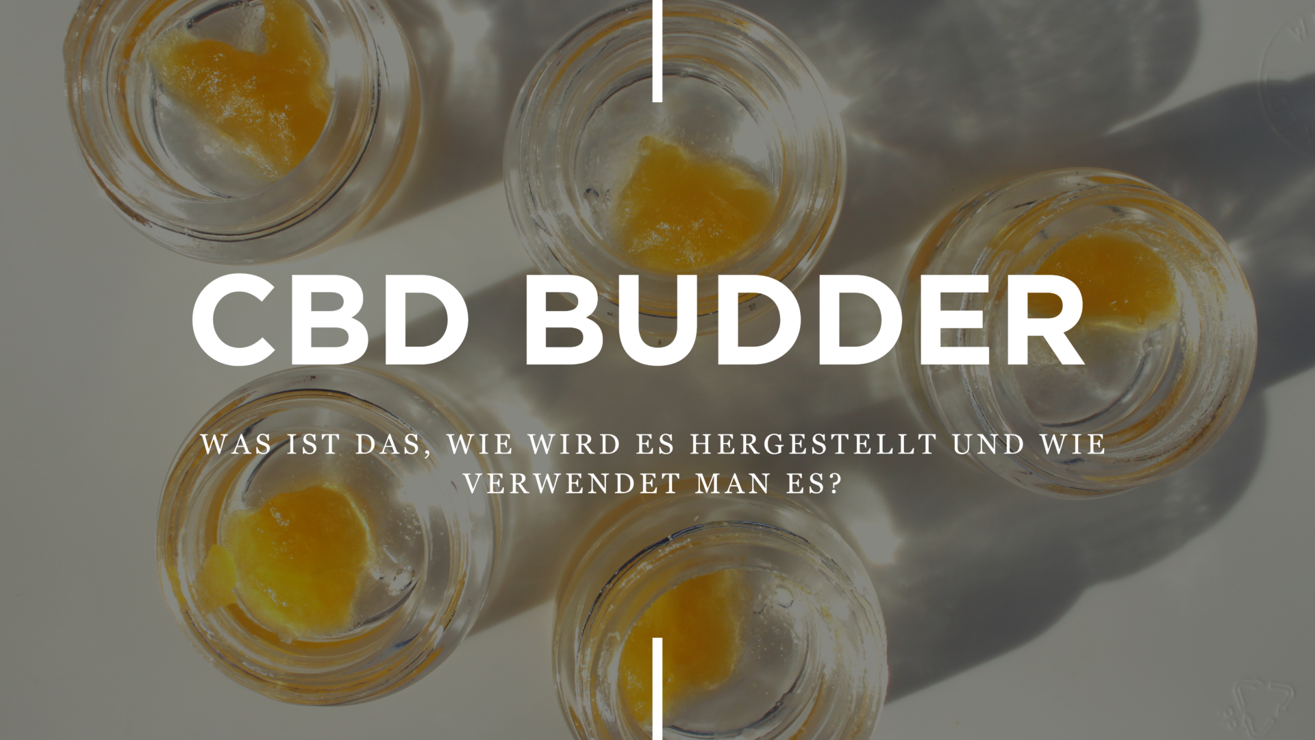 CBD Budder – Was Ist Das, Wie Wird Es Hergestellt Und Verwendet?