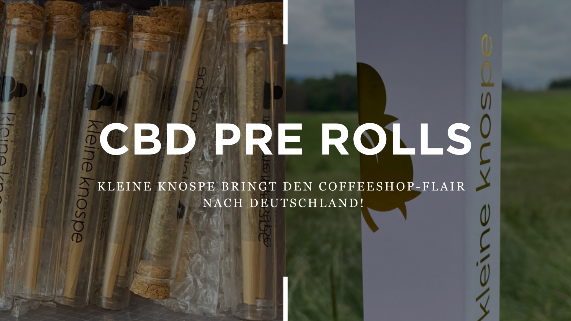 CBD Pre-Rolls – Wir Bringen Den Coffeeshop-Vibe Nach Deutschland!