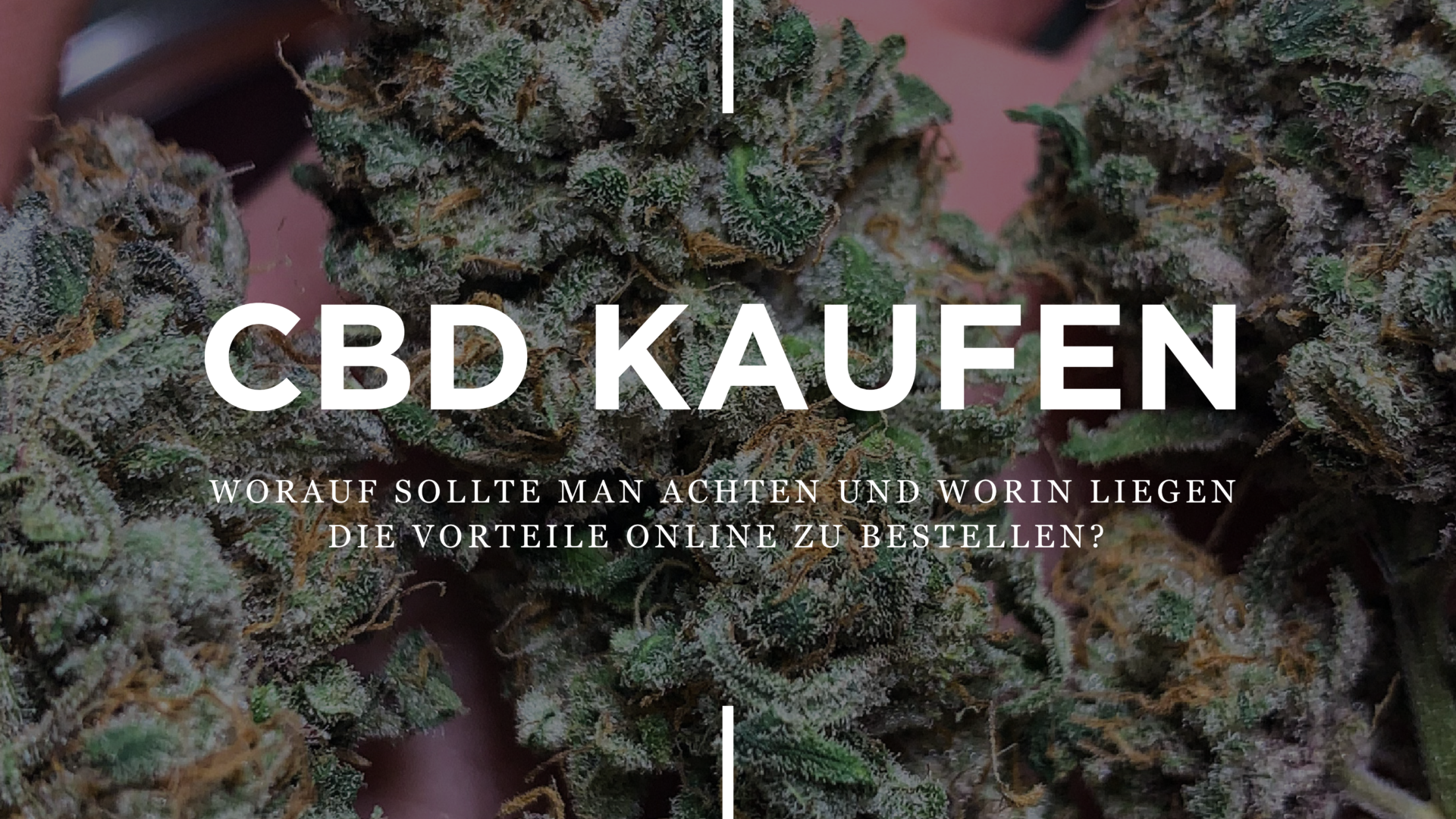 CBD Kaufen – Worauf Sollte Man Achten Und Worin Liegen Die Vorteile Online Zu Bestellen?