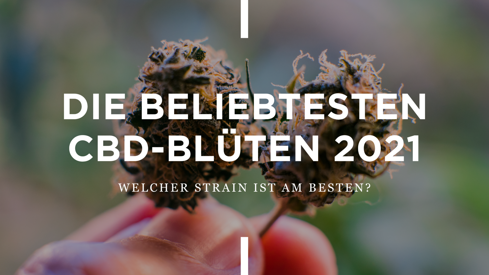 Die Besten CBD Blüten 2021