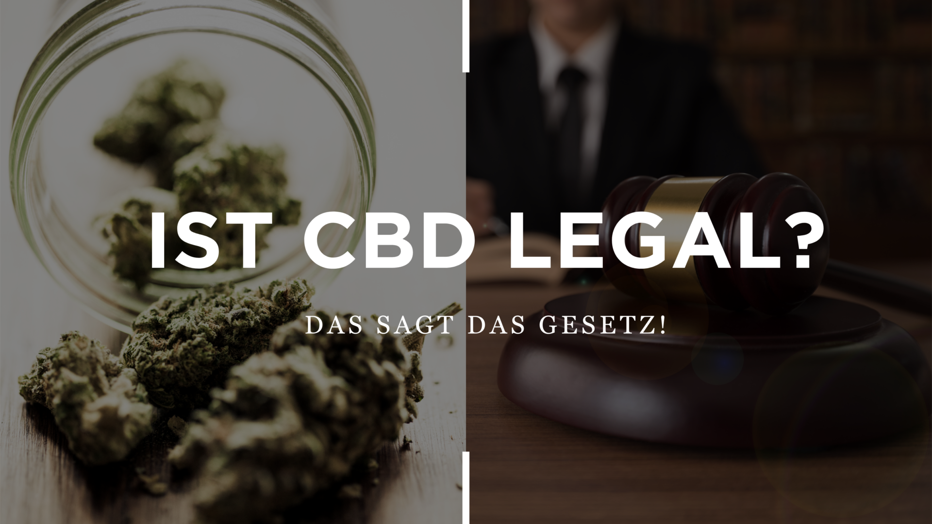 Ist CBD Legal? Das Sagt Das Gesetz!