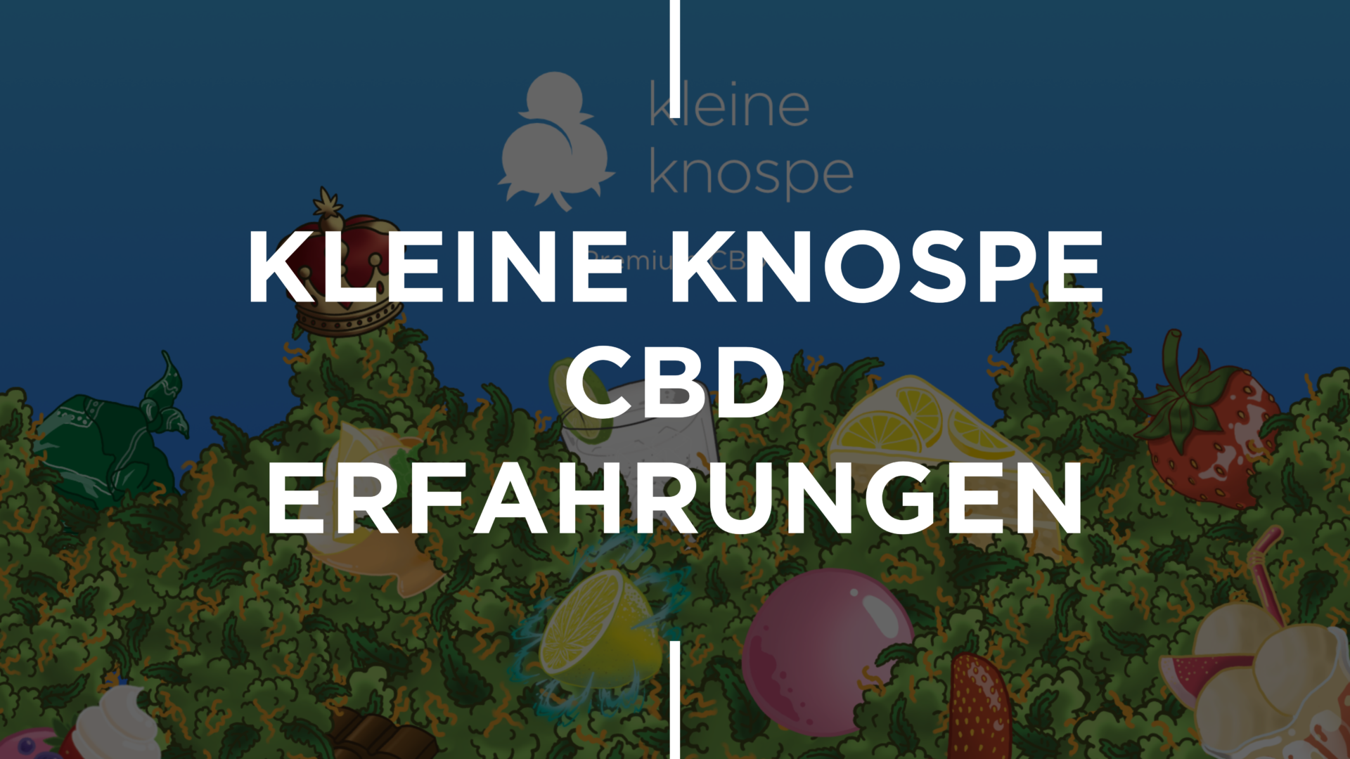 Kleine Knospe CBD Erfahrungen