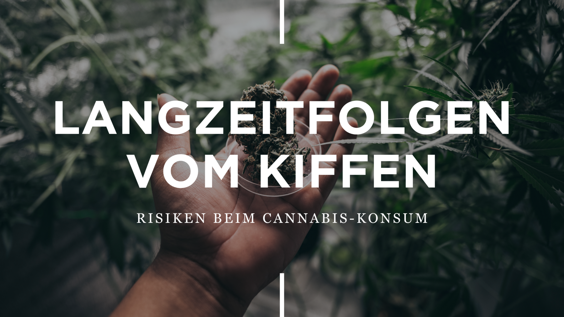 Langzeitfolgen Vom Kiffen: Risiken Beim Cannabiskonsum