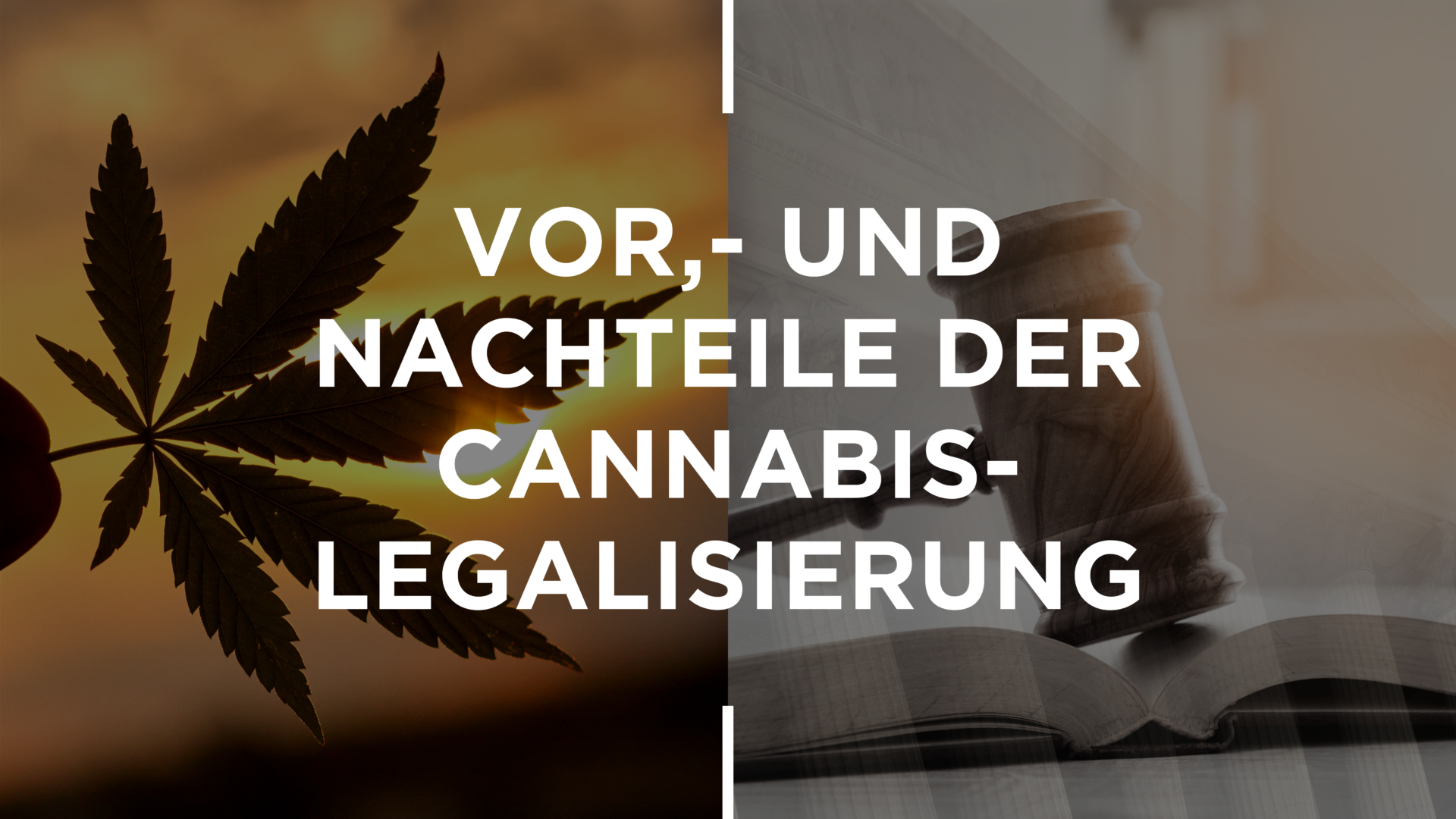 Vor,- Und Nachteile Der Cannabis-Legalisierung