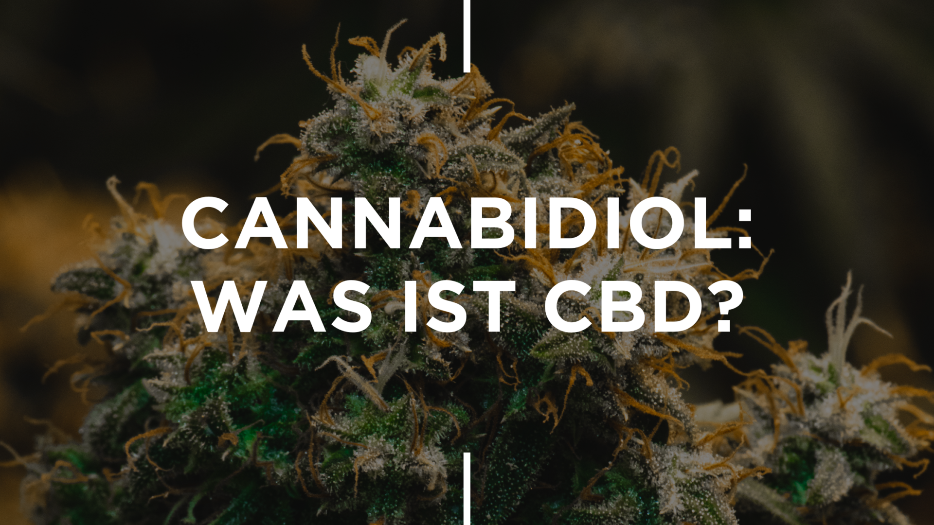 Was Ist CBD?