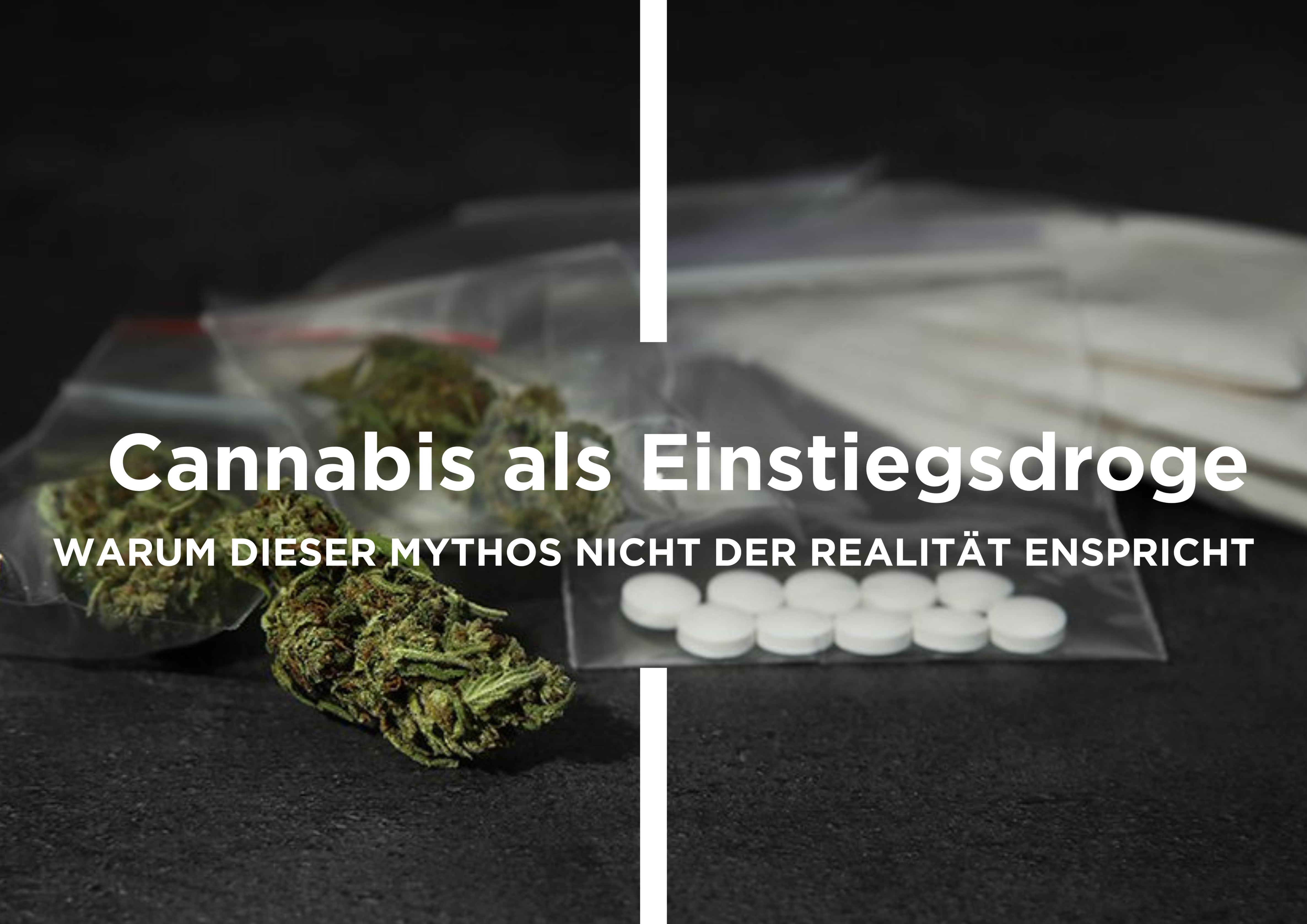 Cannabis als Einstiegsdroge? – Warum dieser Mythos nicht der Realität entspricht