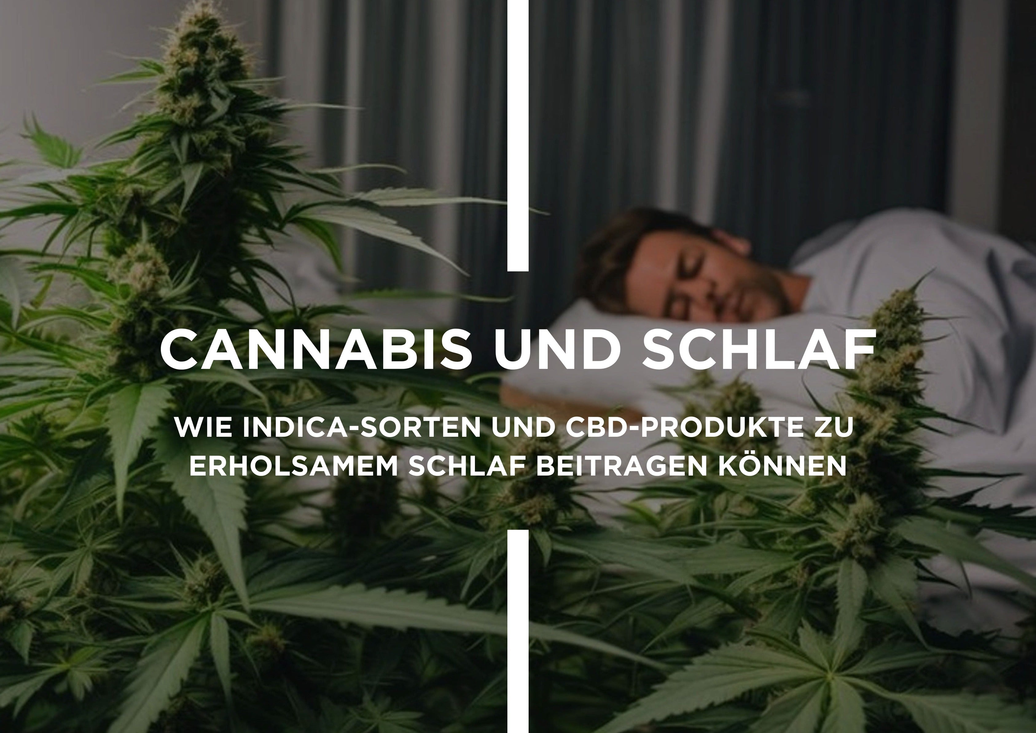 Cannabis und Schlaf