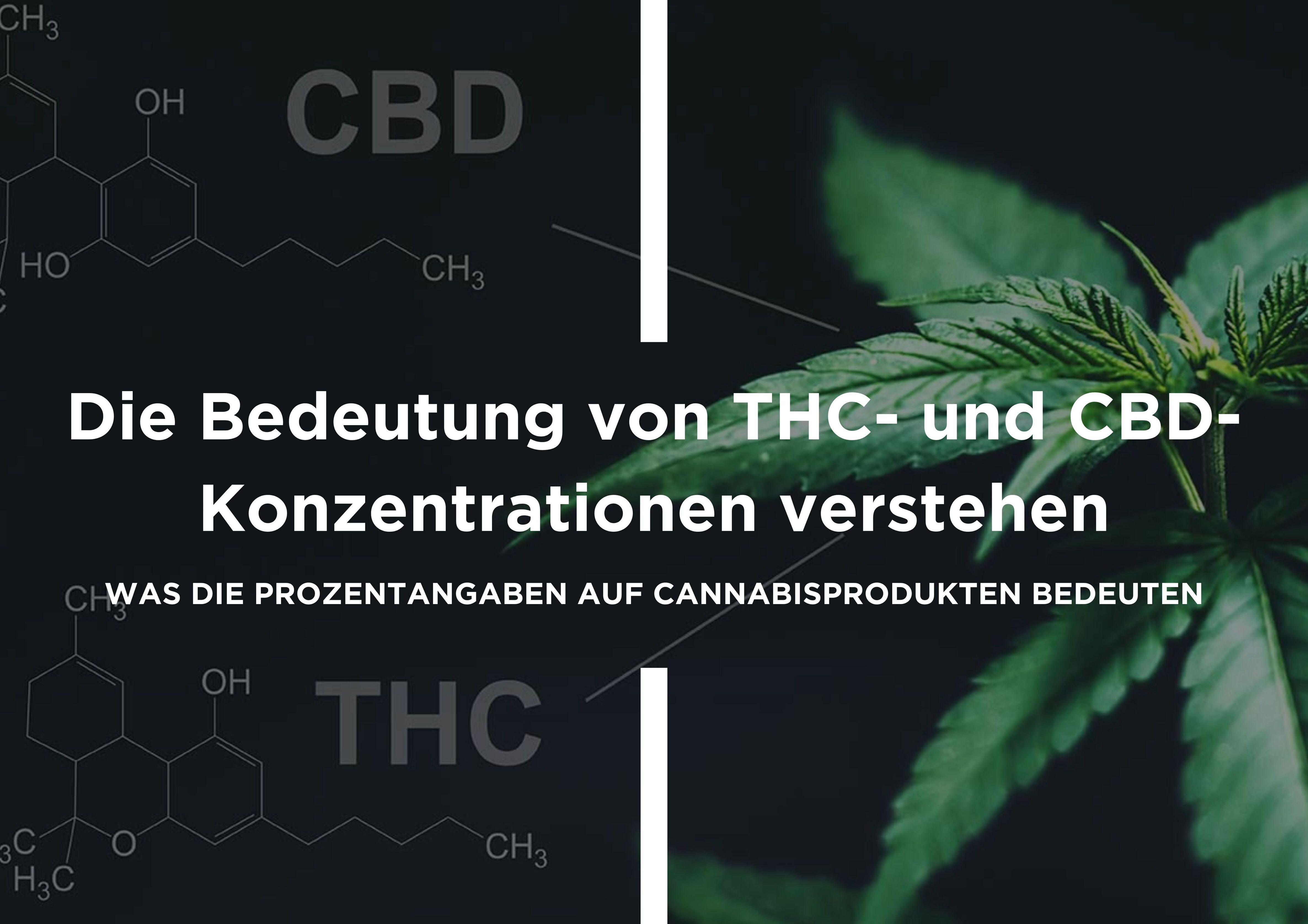 Die Bedeutung von THC- und CBD-Konzentrationen verstehen